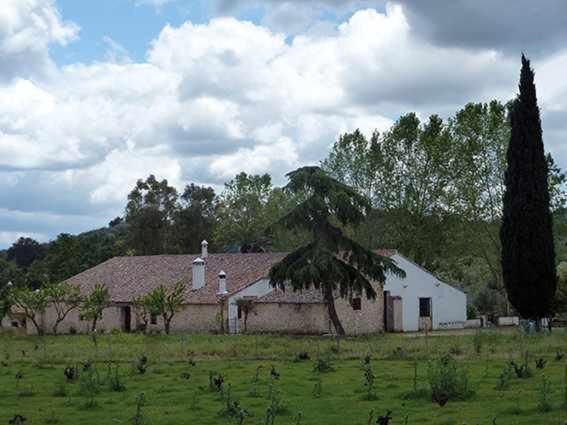 Lagar De Vina Vieja Guest House Cazalla de la Sierra Eksteriør bilde