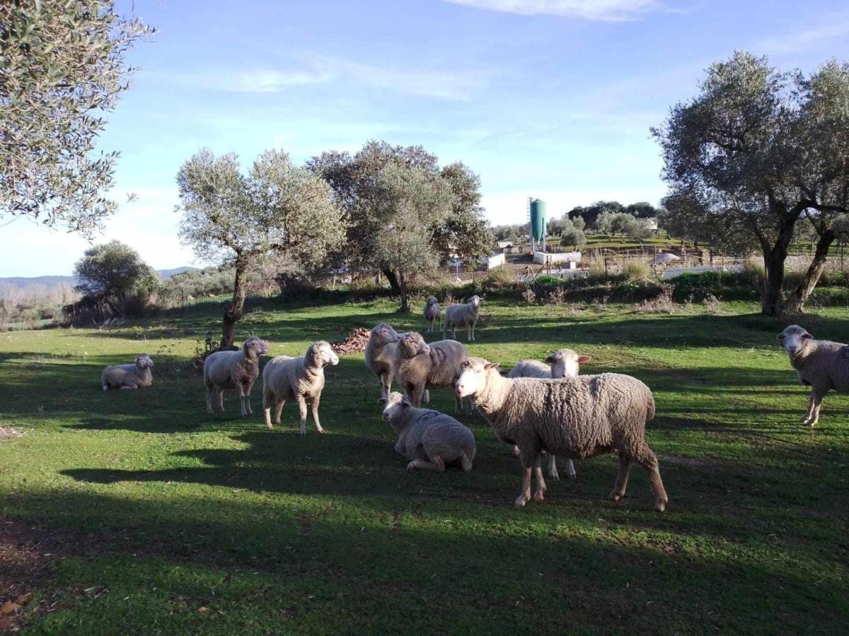 Lagar De Vina Vieja Guest House Cazalla de la Sierra Eksteriør bilde